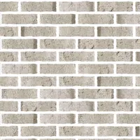 BrickSummer AshHenderson