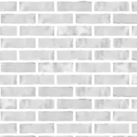 BrickAlpine FogUnion City