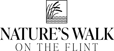 Nature’s Walk on the Flint - Logo