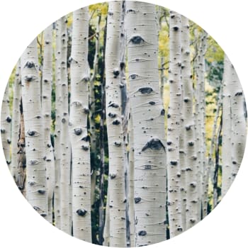 Forest friendly