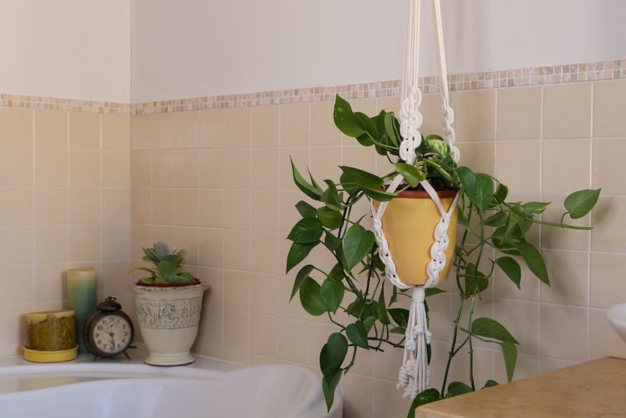 Apartment Bathroom Decor  How To Transform Your Rental Bathroom