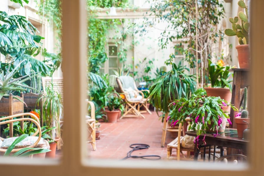 A green balcony, even in winter