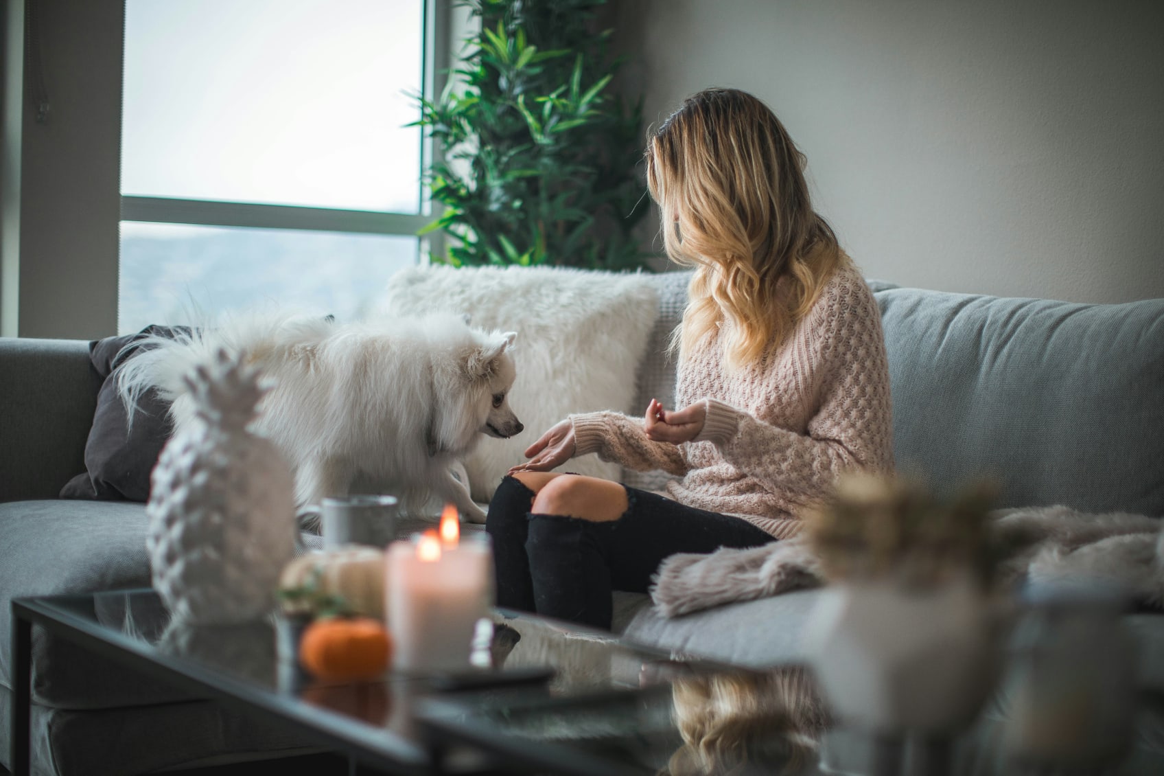 A woman with a dog sitting on a couch.