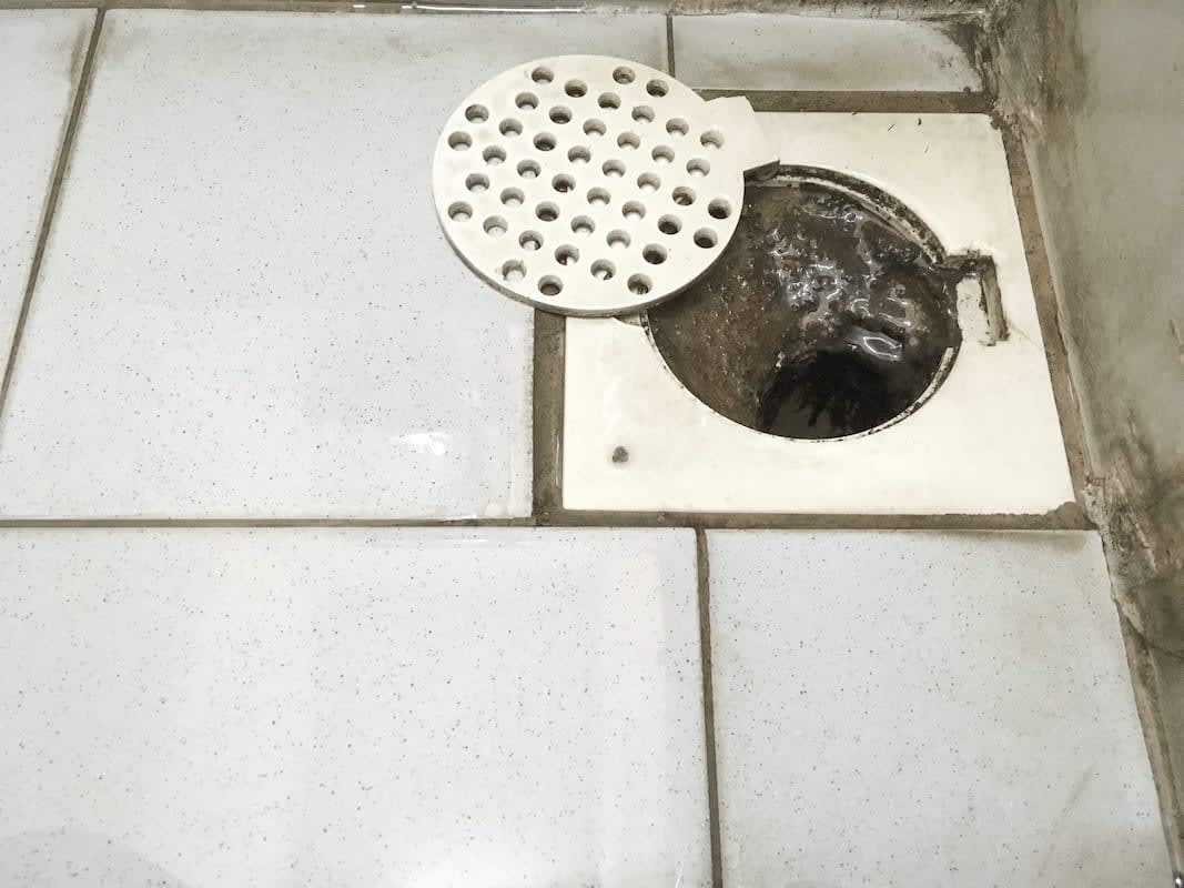 How to Unclog a Shower Drain • Moffett Plumbing & Air