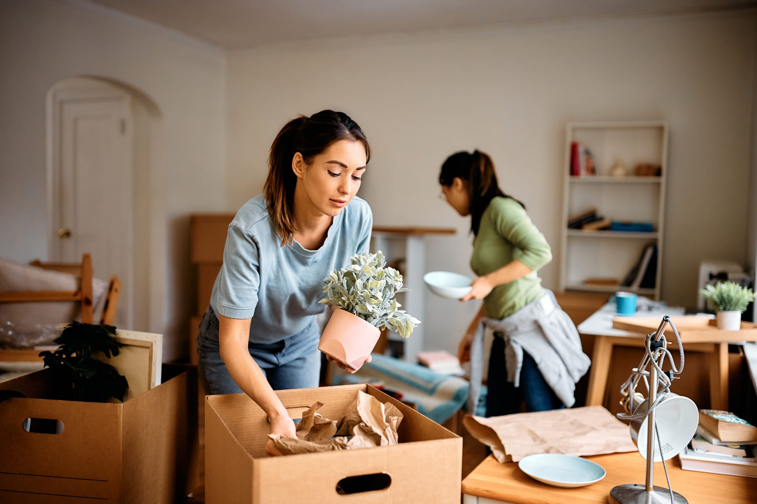 roommates cosigned apartment moving in
