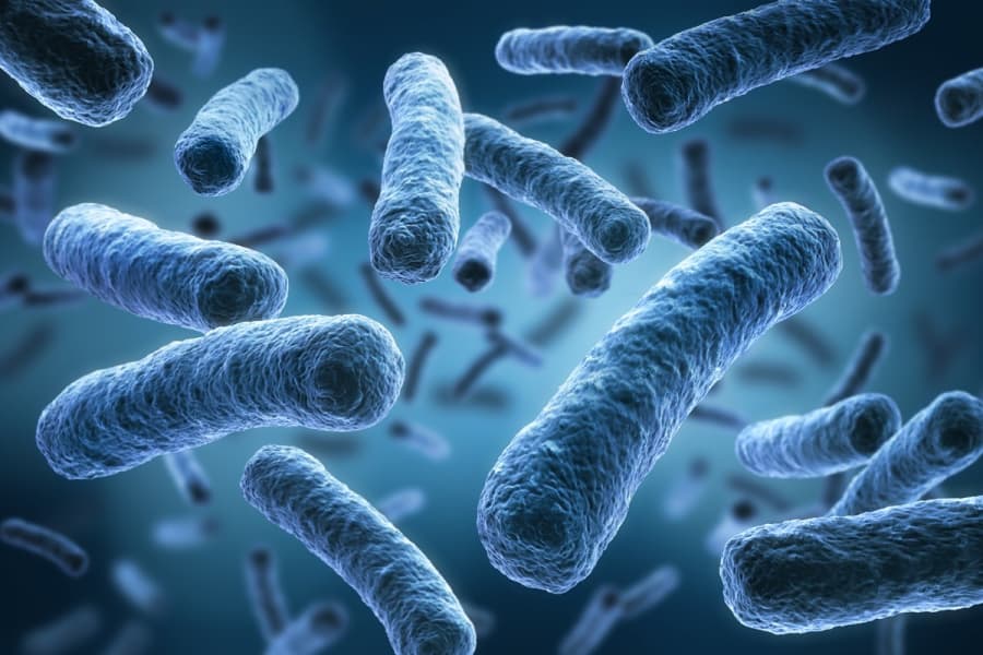 RENTACS: prodotti e servizi per il trattamento delle acque potabili