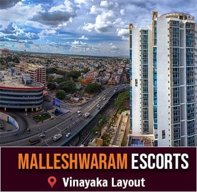                 Independent girls in Melleswaram