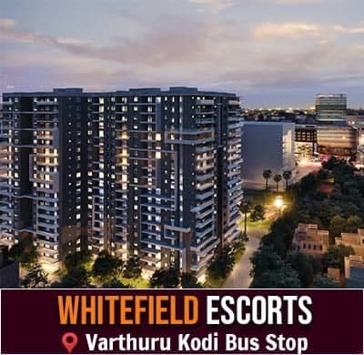 VIP Escorts Bangalore