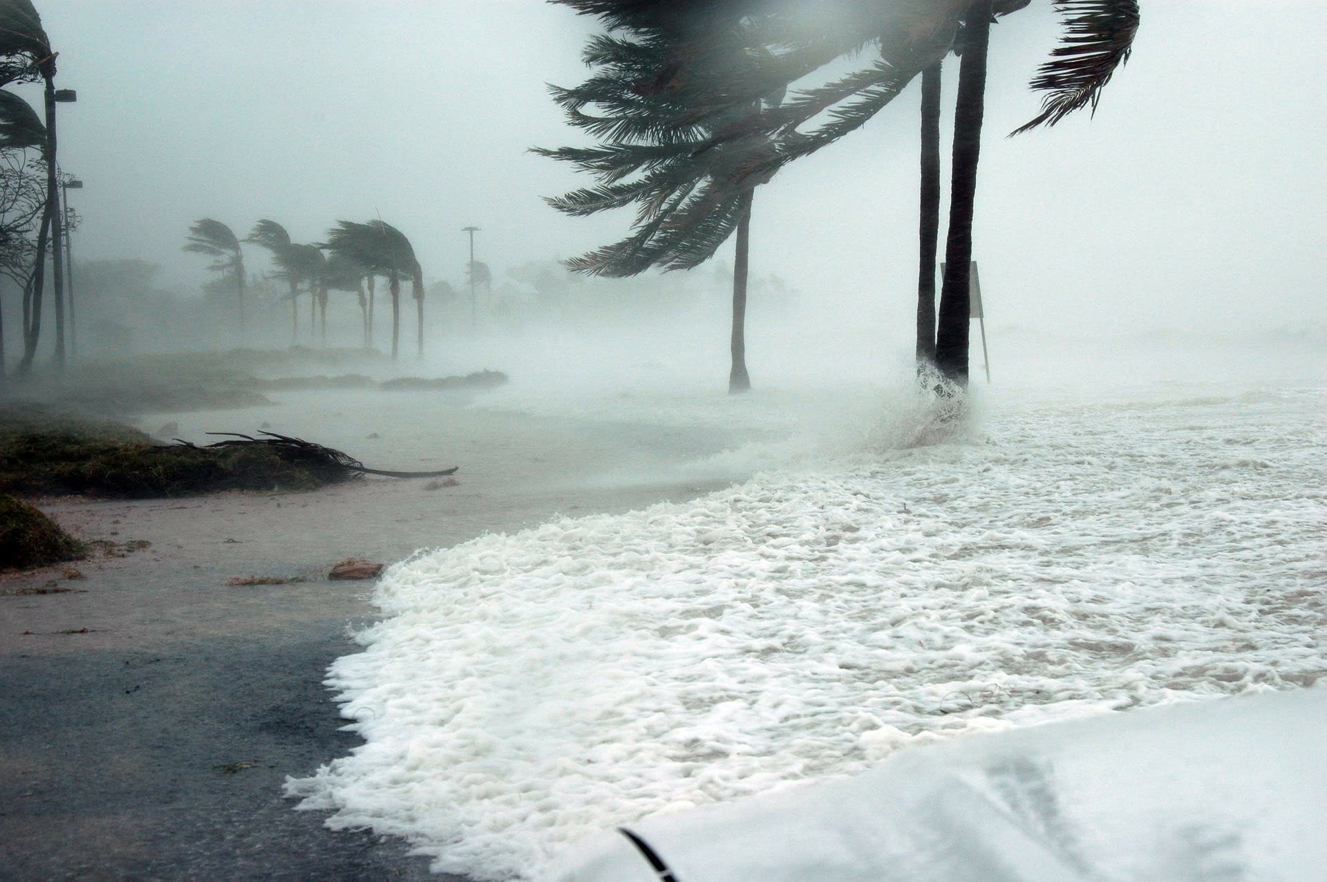 rental car transponders, Irma