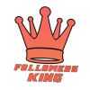 Followersking.in