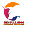 BIG BULL SMM 