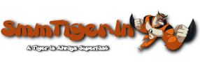 smmtiger.in