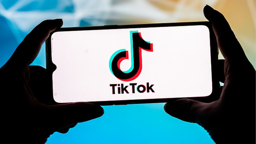 TikTok's Potential Boosting Views, Comments, and Likes with SEO Optimization and SMM Panels.