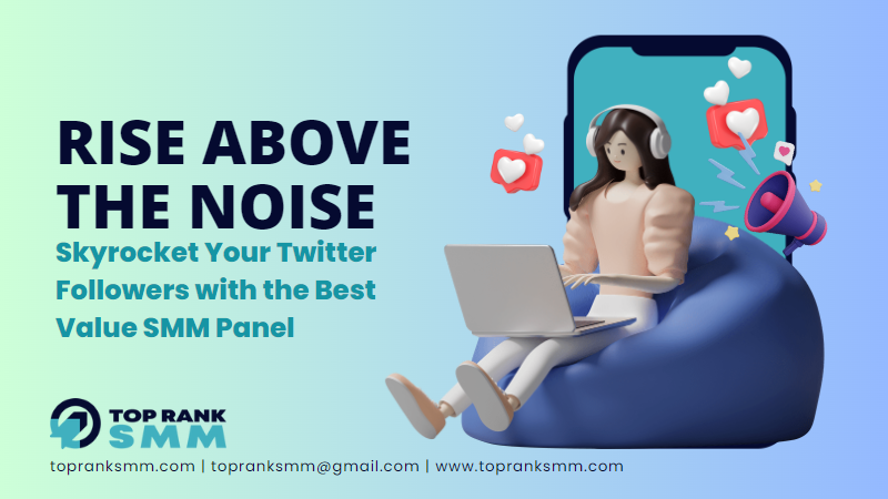 Rise Above The Noise: Skyrocket Your Twitter Followers with the Best Value SMM Panel