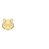 Tiger Smm Panels