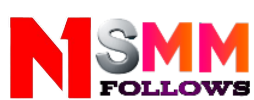 N1 SMM FOLLOWS 