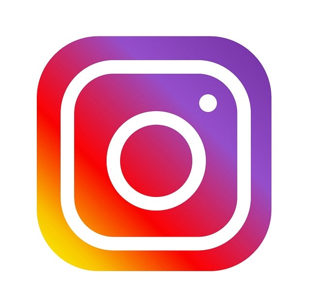How to Increase Instagram Followers with the Best SMM Panel?