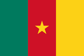 SMM Panel cameroon