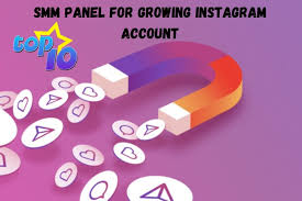 How to Increase Your Social Media Followers with SMMbin