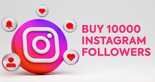How to Use Smmbin SMM Panel