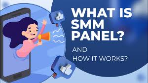 What is a social media panel?