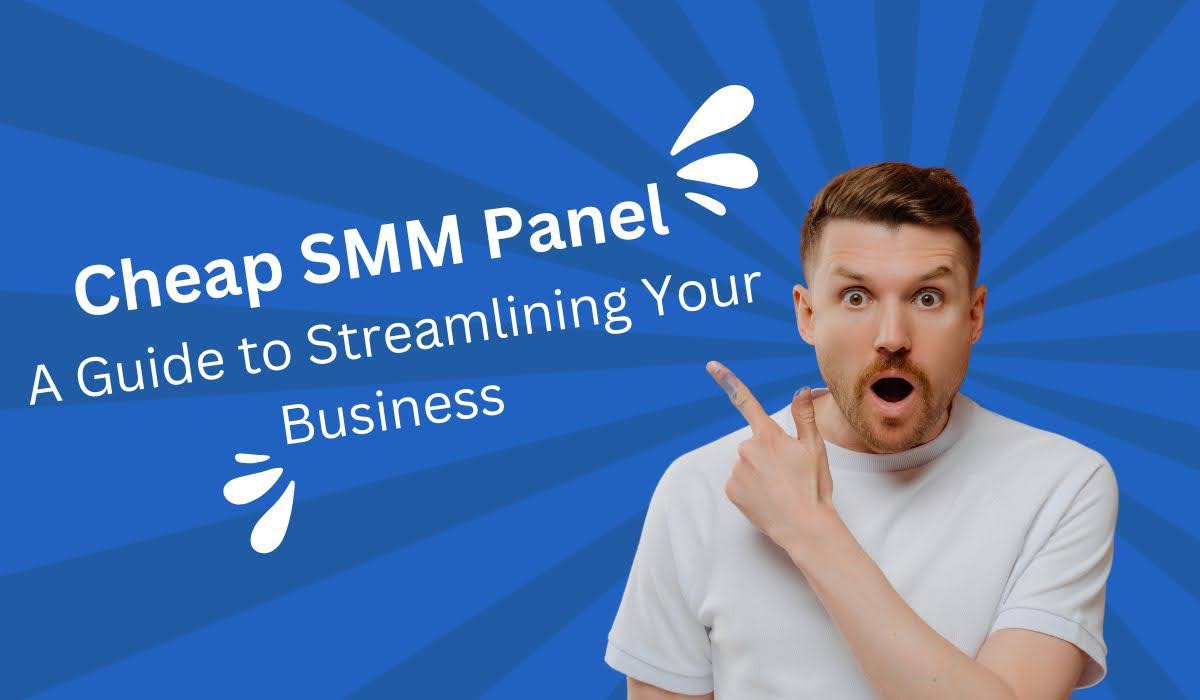 Cheap SMM Panel: A Guide to Streamlining Your Business