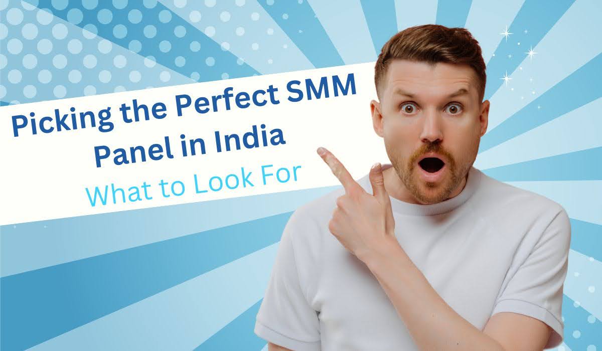 Picking the Perfect SMM Panel in India: What to Look For