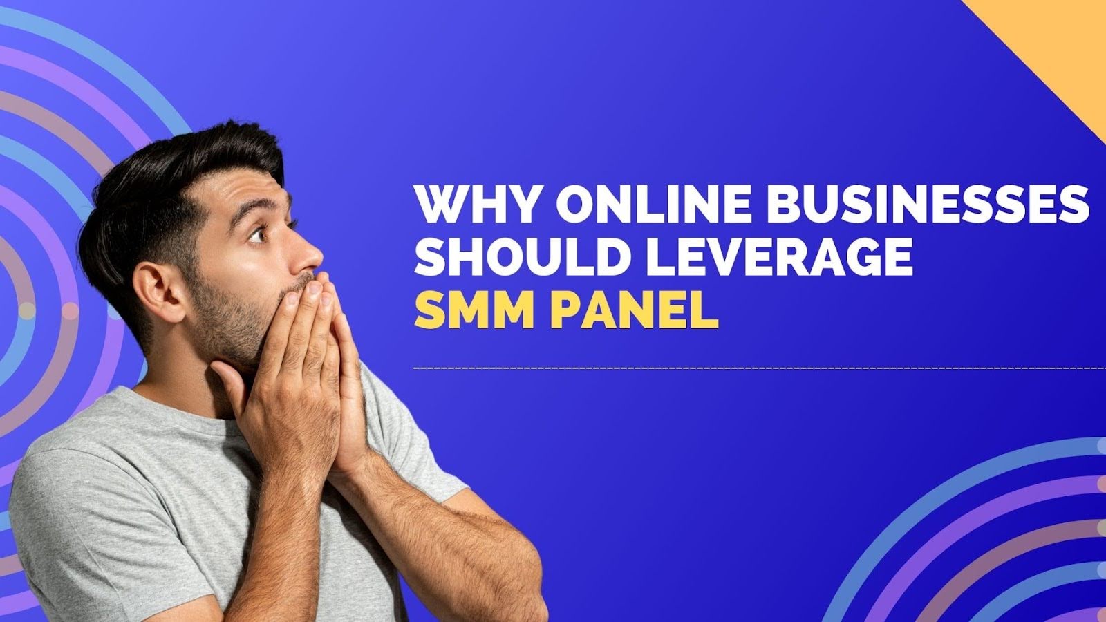 Why Online Businesses Should Leverage SMM Panel