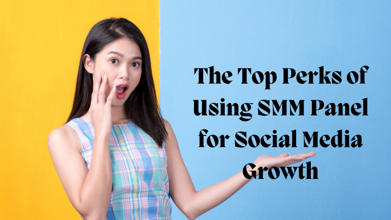 The Top Perks of Using SMM Panel for Social Media Growth