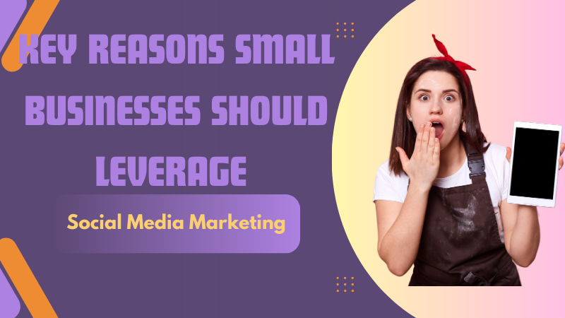 Key Reasons Small Businesses Should Leverage Social Media Marketing