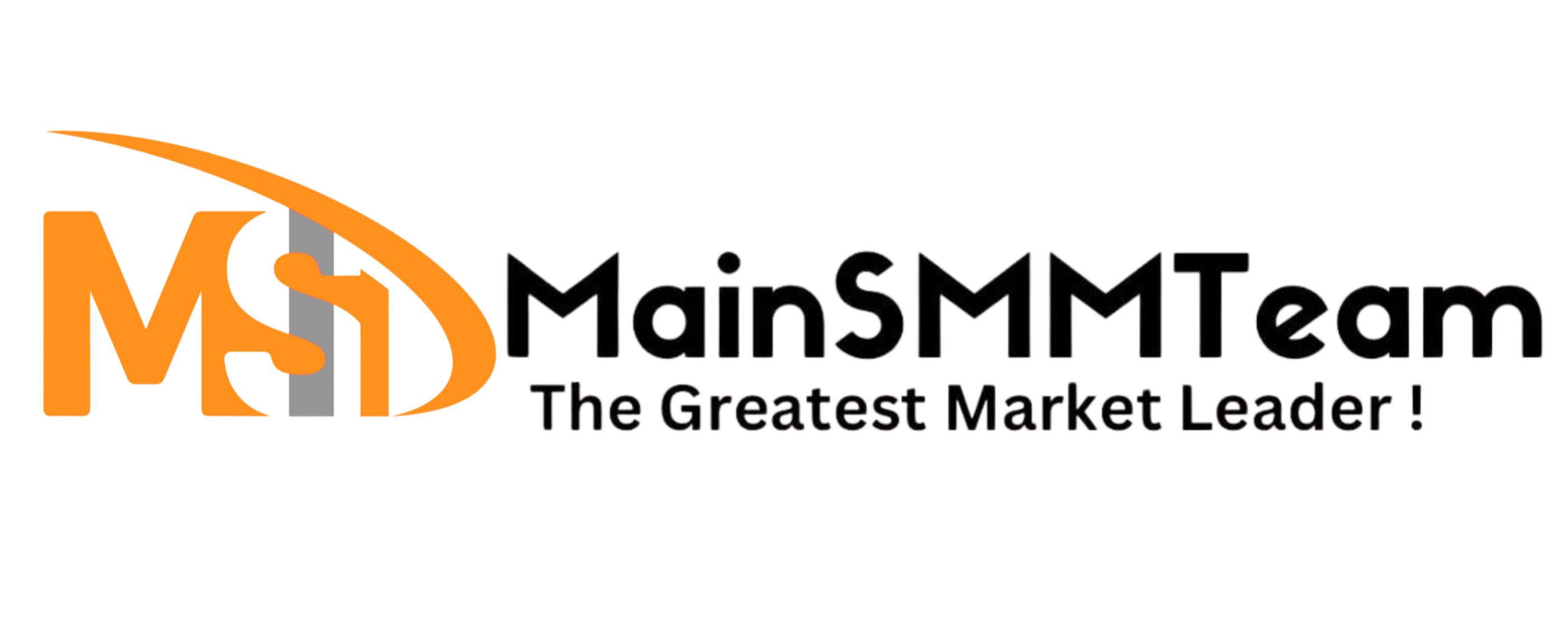 Why Choose MainSMMTeam, A Main SMM Provider!