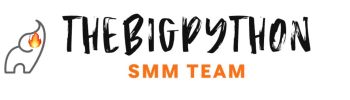 Thebigpython.com
