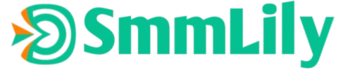 SMM Panel: Best and cheapest SMM panel in Pakistan | SMM LILY