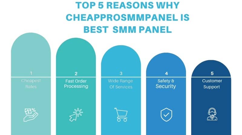 Top 5 Reasons Why CheapProSMMPanel is the Best SMM Panel for Insta & YT Growth