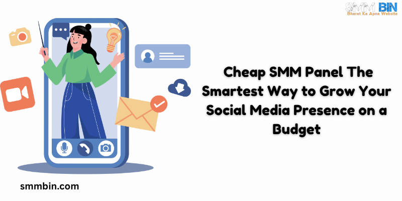 Cheap SMM Panel The Smartest Way to Grow Your Social Media Presence on a Budget