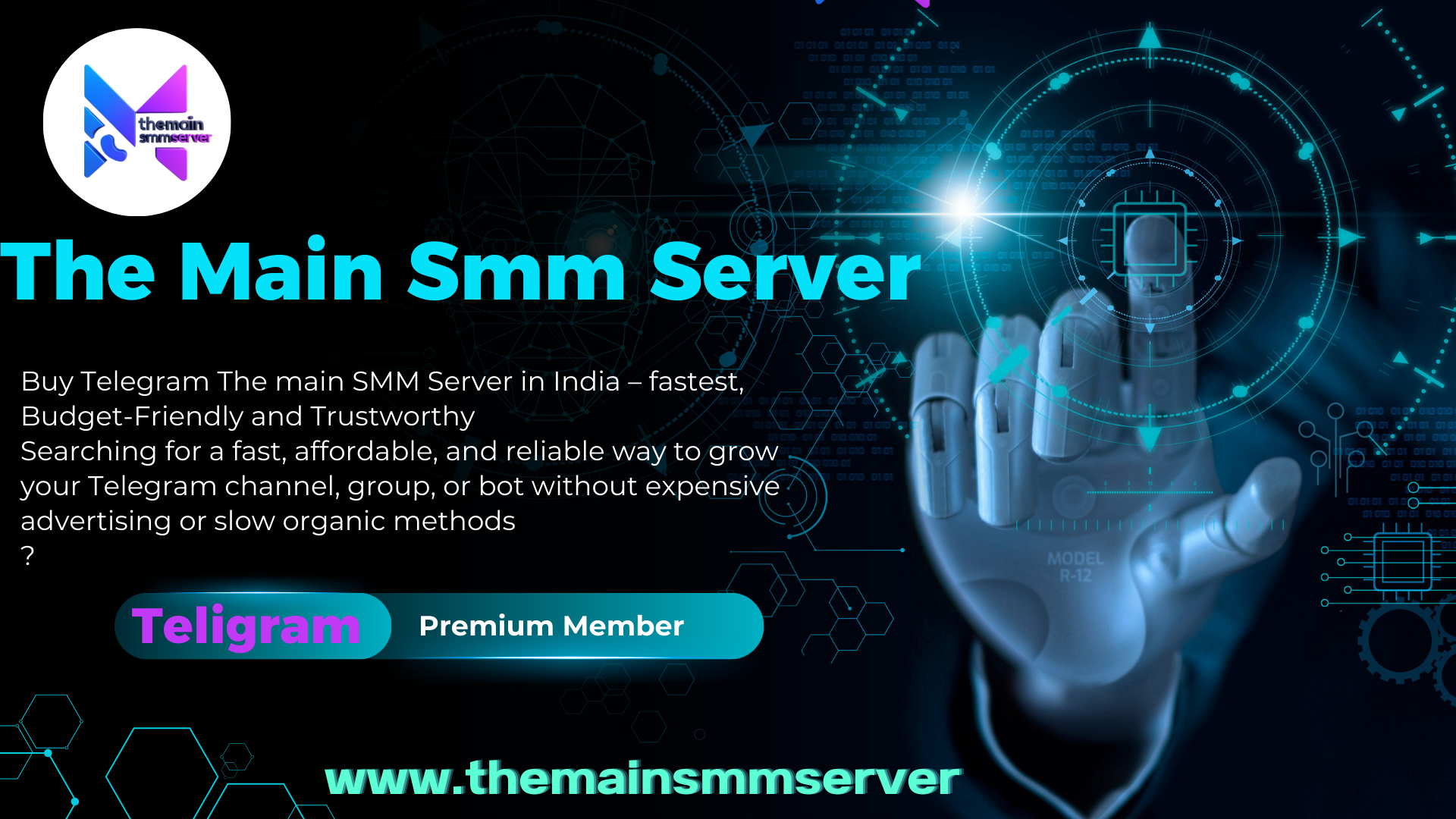 Telegram Premium Members Server