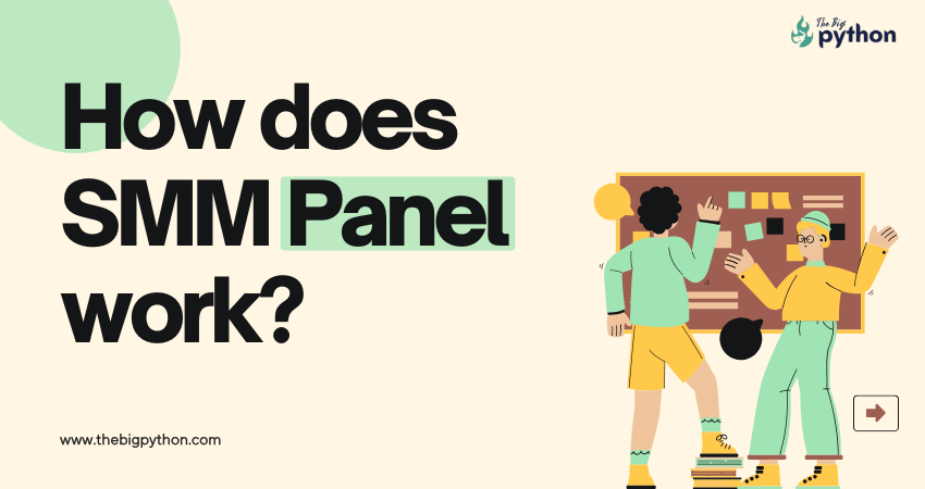 How Does an SMM Panel Work?