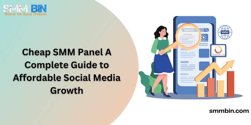Cheap SMM Panel A Complete Guide to Affordable Social Media Growth