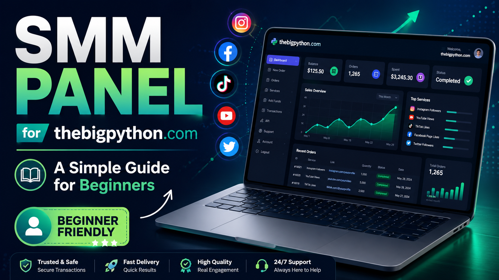 SMM Panel for thebigpython.com: A Simple Guide for Beginners