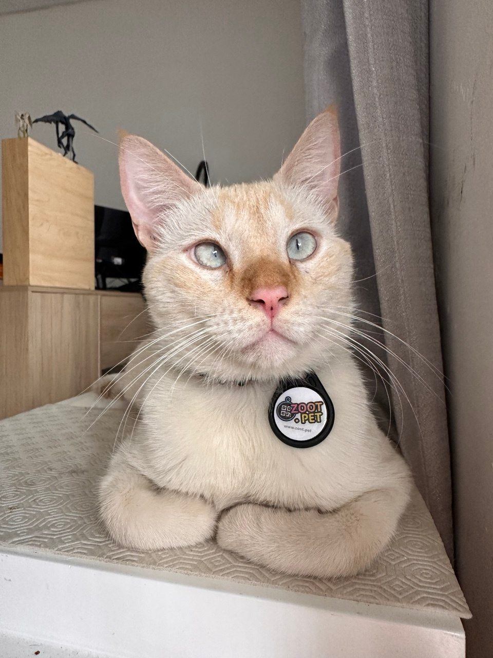 Foto de perfil de Cronos
