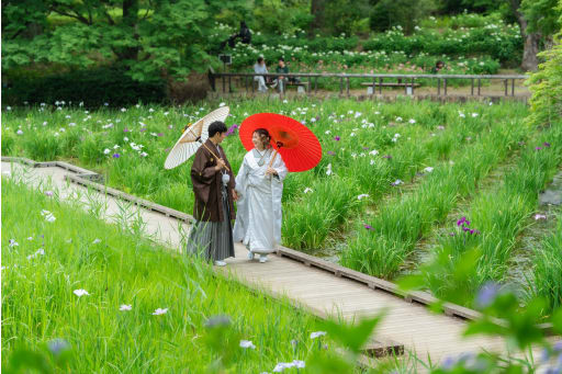 こんな場所もあり、その周りには紫陽花がありました