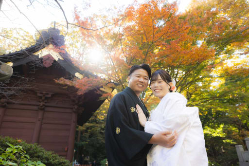 キラキラの木漏れ日も