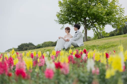 キンギョソウも！