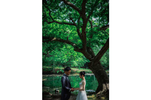 木漏れ日溢れる公園