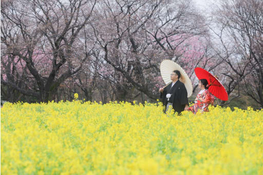 菜の花畑をお散歩！！春を感じながら歩いていただきました！！