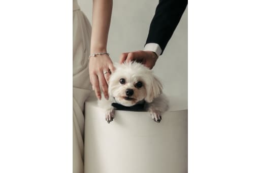 お二人の愛犬と♡