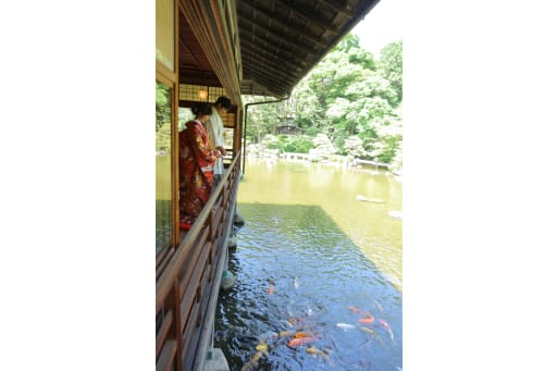 池の中には鯉