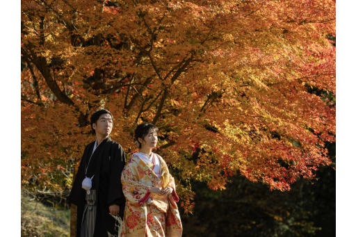 紅葉は橙から赤へ、段々と色づきます。