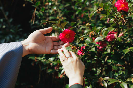 花びらにそっと触れて