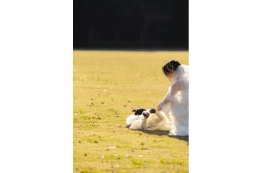 家族と思い出の地で残すウェディングフォト